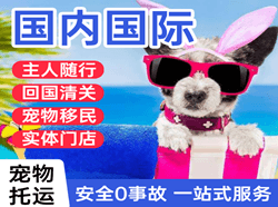 咸阳航空快递国际宠物托运 【国